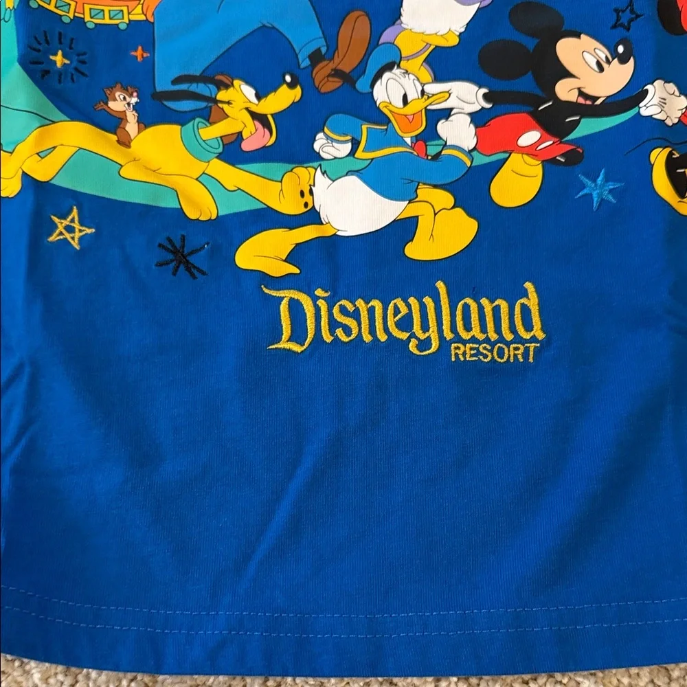 Disney park colorful soft